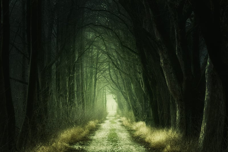 Mysterious Paths