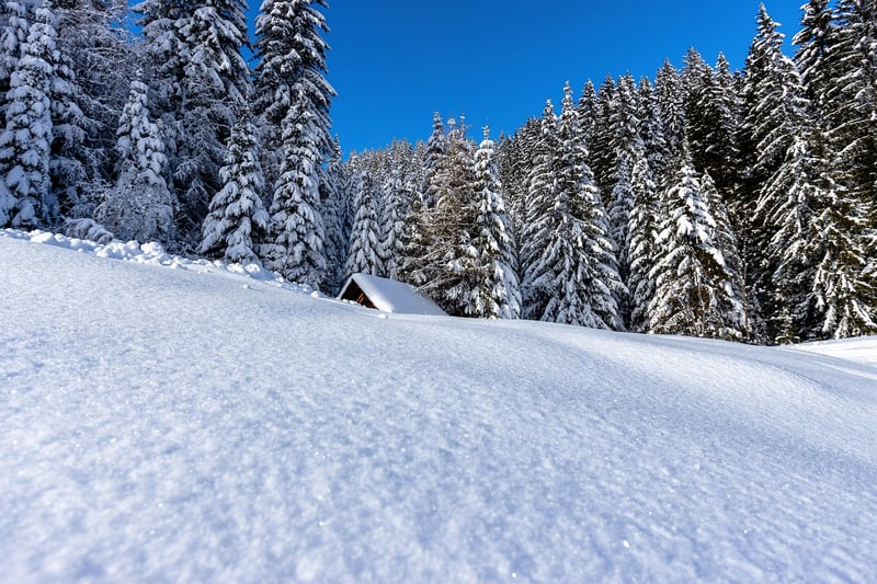 Tranquil Retreats